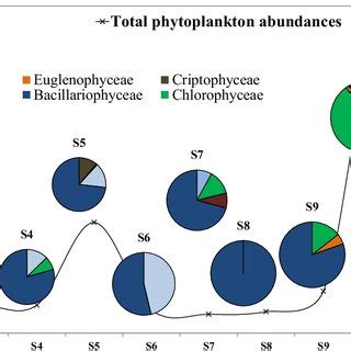 Spatial Dynamics Of Phytoplankton Abundance Values And Composition