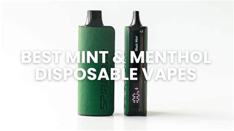 Top 10 Best Mint And Menthol Disposable Vapes In Us 2024