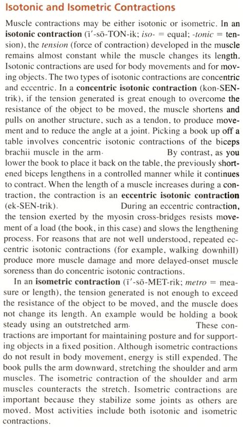 What Is Isometric Contraction And Isometric Relaxation