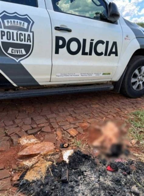 Polícia indicia homem pelo crime de maus tratos contra cães em