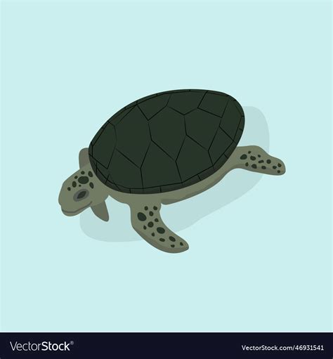 Green sea turtle Royalty Free Vector Image - VectorStock