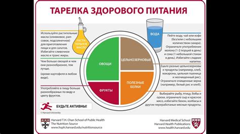 Выпуск 2 Гарвардская тарелка или тарелка здорового питания YouTube