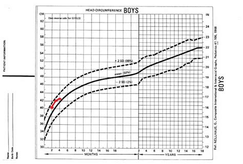 Diagram Nellhaus Lingkar Kepala Anak