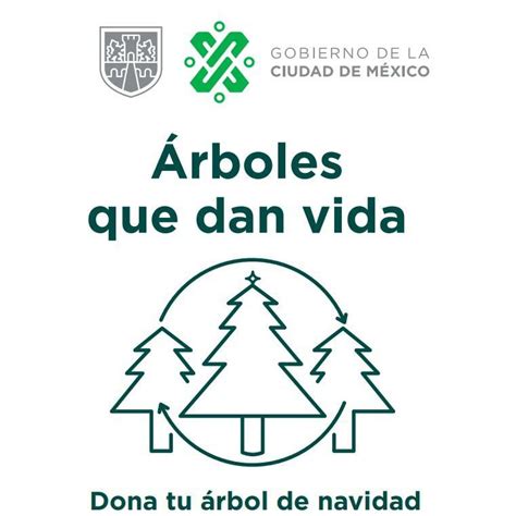 CDMX Árboles para la Vida Recicla Tu Árbol de Navidad y Recibe Planta