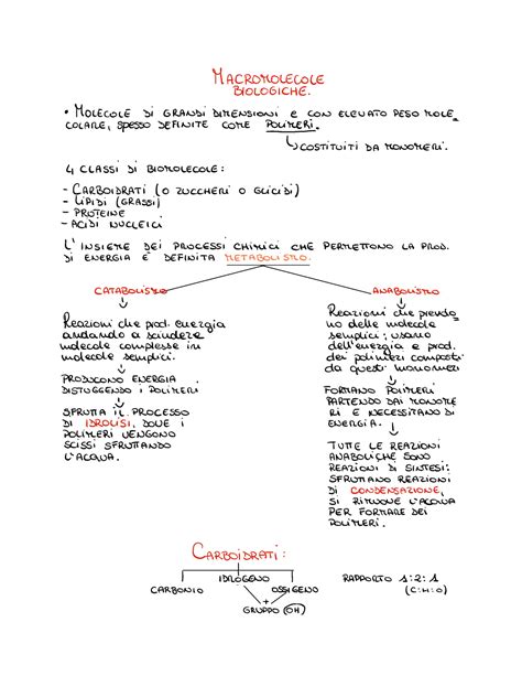 Macromolecole Biologiche Biologia Studocu