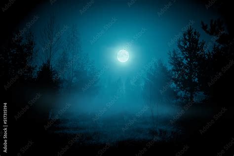 Spooky night foggy forest under the night sky with a full moon in cold ...