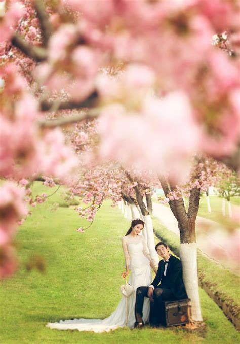 Pre Wedding Korean Outdoor Photo Shoot Korea Pre Wedding Promotion Pre