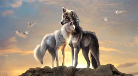 Download Cute Wolves During Sunrise Wallpaper