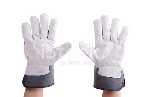 Worker Wearing Leather Work Gloves Stock Photo Royalty Free Freeimages