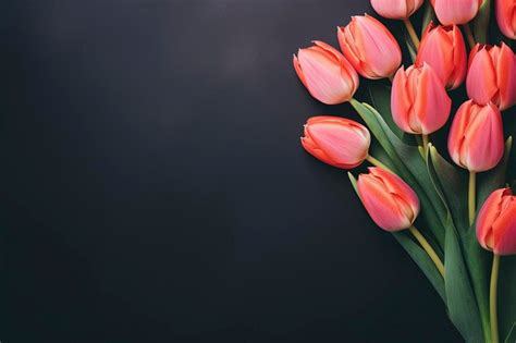 Premium Photo | Tulips bouquet background and copy space