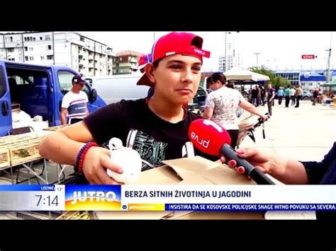 Jutarnje uključenje za TV PRVA Berza sitnih životinja u Jagodini TV