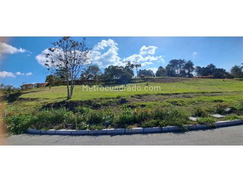 Venta De Lote O Casalote En Quirama Rionegro M