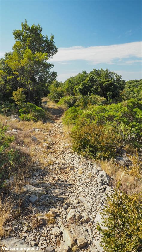 Trail Et Marche Aux Matelles LES MATELLES