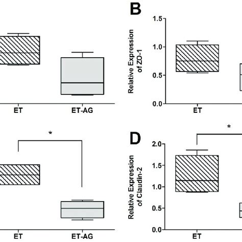 Relative MRNA Expression Of A Peptide Transporter 1 PEPT 1 B