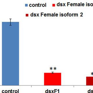 The Relative Expression Level Of Both Female Isoforms F And F