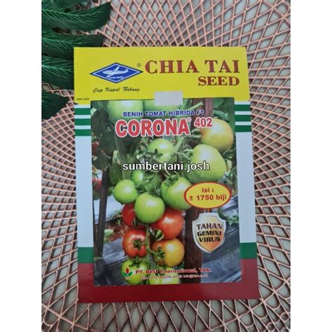 Jual Benih Tomat Hibrida F Corona Gram Cap Kapal Terbang