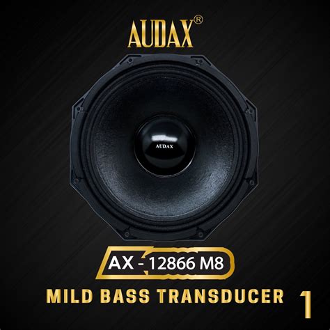 Jual Audax Speaker Pasif 12 AX 12866 M8 Mild Bass Transducer