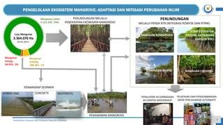 Upaya Mitigasi Dan Perubahan Iklim Dengan Pemanfaatan Mangrove Climate