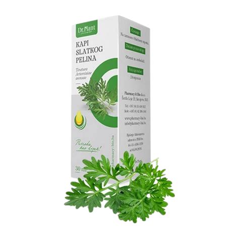 Dr Plant kapi slatkog pelina Artemisia annua 30ml Li pharma Vaša