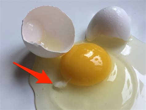 How To Tell If Eggs Are Bad After Cracking