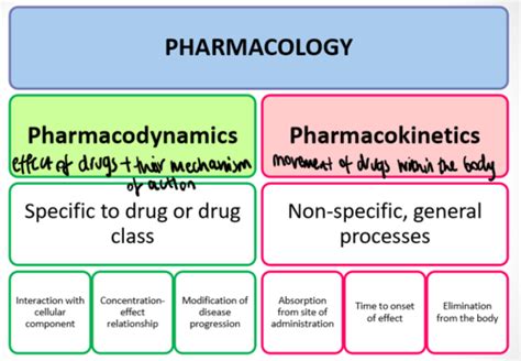 Pharmacology Pharmacokinetics Flashcards Quizlet