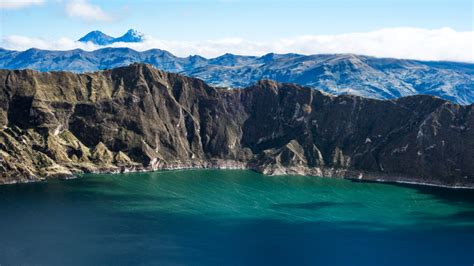 Rare insect-eating plants found in the rugged Andes | Popular Science