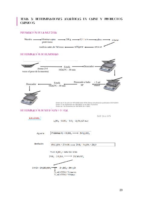 BROMATOLOGIA II Tema 2 Pdf