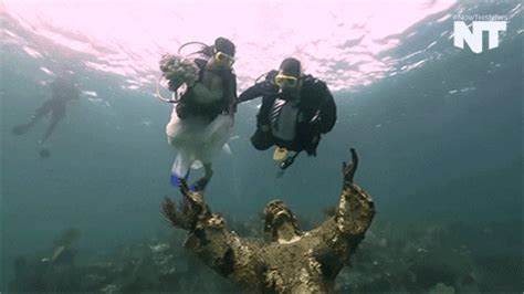 Scuba Cat Prepares For Underwater Adventures S Get The Best  On