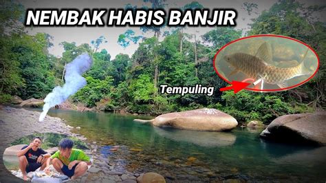 NEMBAK IKAN MAHSEER HABIS BANJIR BESAR AUTO PANEN YouTube