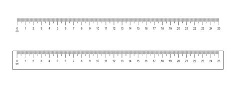 Scale of 5 centimeters ruler with markup Vector Image