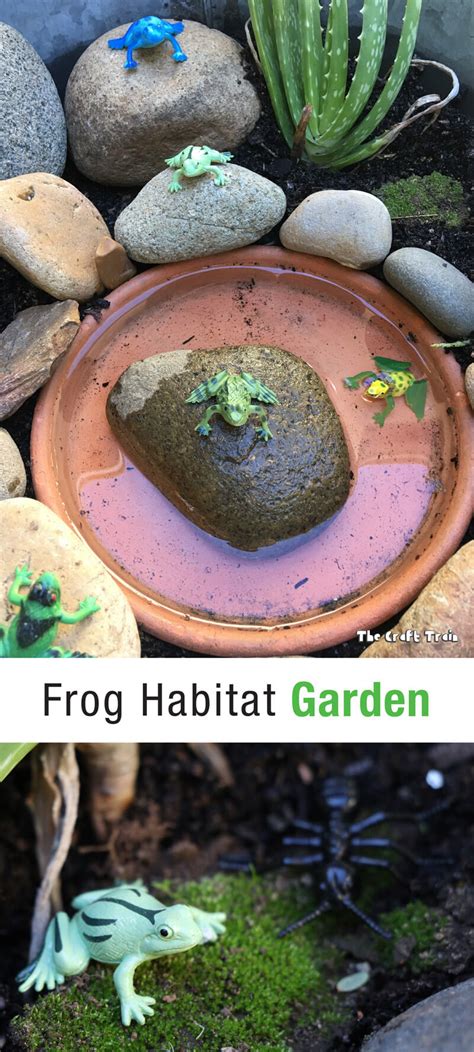 Frog habitat garden - The Craft Train