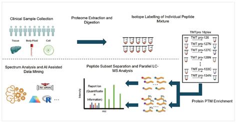 磷酸化蛋白质组学 Westlake Omics ｜ 西湖欧米（杭州）生物科技有限公司