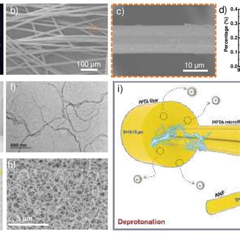 A Optical Photo Of Aramid Fiber With The Word Of AF B C SEM