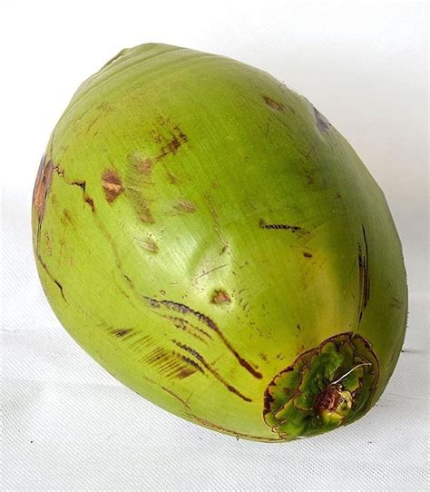 raw coconut wholesale price mandi rate  raw nalikeram  india