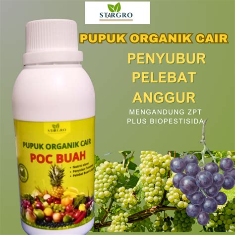 Pupuk Organik Tanaman Anggur 250ml Pupuk Anggur Biar Cepat Buah