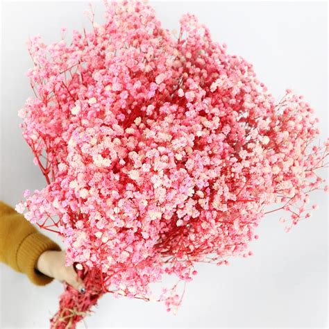 Dried Babys Breath Flowers Bouquet In Pink Flower Natural