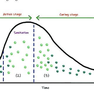 Aerobic composting phases. Aerobic composting phases. | Download ...