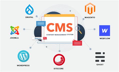 What Is A Cms And Why Should You Care