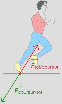 Pccl Forces E Mod Lisation Dune Action Par Une Force Principe