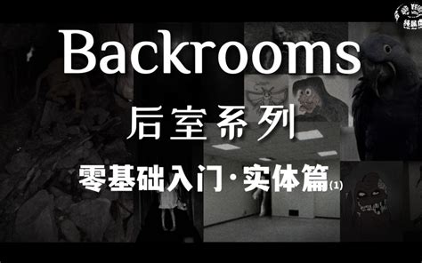 【backrooms后室】第11期 零基础入门 实体篇