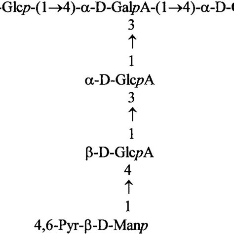 repeating unit   eps produced  alteromonas sp strain