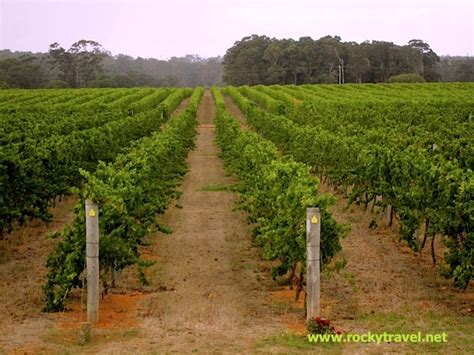 A guide on how to tour the Margaret River Wineries