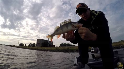 Vissen Op Snoekbaars Met Dropshot Vanuit De Boot YouTube