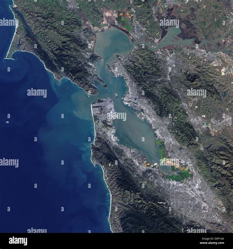 Bay Landform