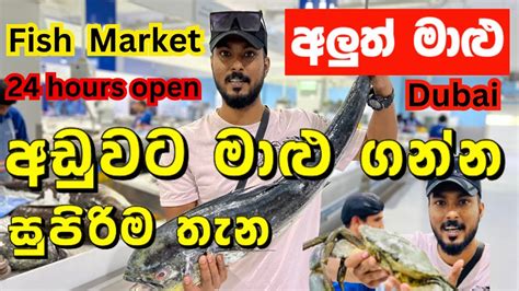 Dubai මාළු ඇත්තටම ලාබයීද Fish Market Dubai The Waterfront Market