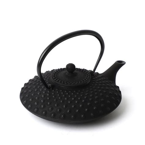 Iwachu Kambin Tetsu Kyusu Black 800ml