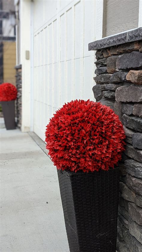 16 Size Large Set Of 2 Large Burning Bush Topiary Balls 365 Curb