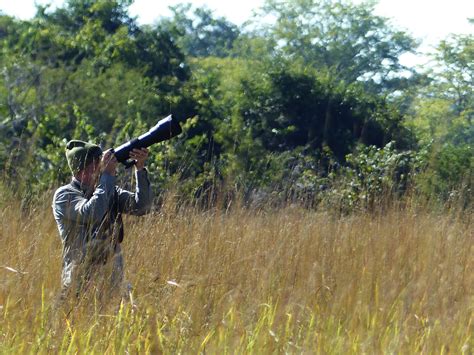 News From Nanzhila Nanzhila Safaris Safari Lodge Kafue National Park