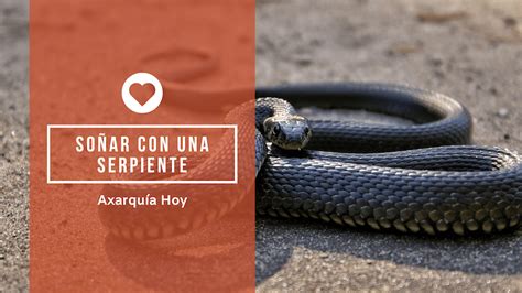 Qué Significa Soñar con una Serpiente Axarquía Hoy