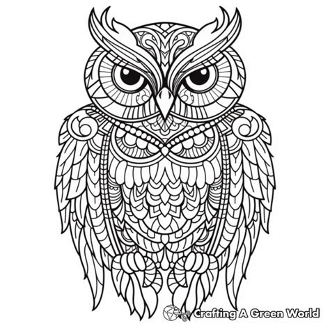 Owl Zentangle Coloring Pages Free Printable